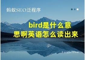 bird是什么意思啊英语怎么读出来