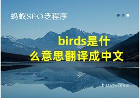 birds是什么意思翻译成中文