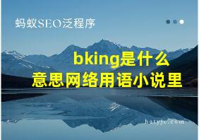 bking是什么意思网络用语小说里