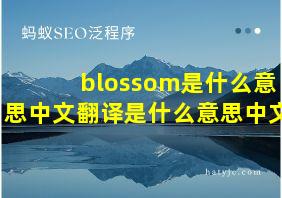 blossom是什么意思中文翻译是什么意思中文