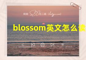 blossom英文怎么读