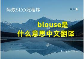 blouse是什么意思中文翻译