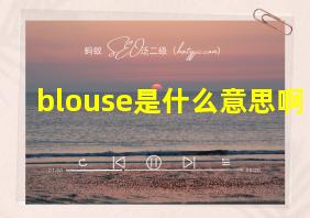 blouse是什么意思啊