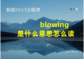 blowing是什么意思怎么读