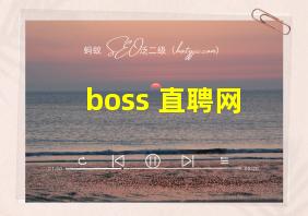 boss 直聘网