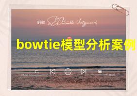 bowtie模型分析案例