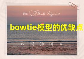 bowtie模型的优缺点