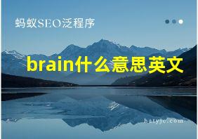 brain什么意思英文