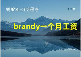 brandy一个月工资