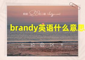 brandy英语什么意思