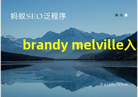 brandy melville入职