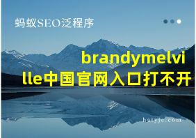 brandymelville中国官网入口打不开