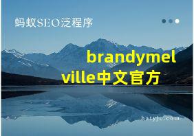 brandymelville中文官方