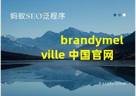 brandymelville 中国官网