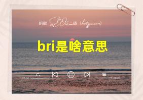 bri是啥意思