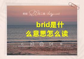 brid是什么意思怎么读