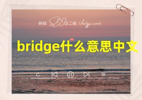 bridge什么意思中文