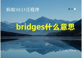 bridges什么意思