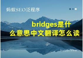 bridges是什么意思中文翻译怎么读