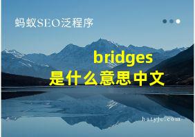 bridges是什么意思中文