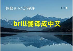 brill翻译成中文