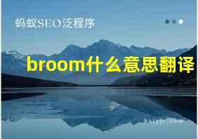 broom什么意思翻译