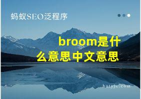 broom是什么意思中文意思