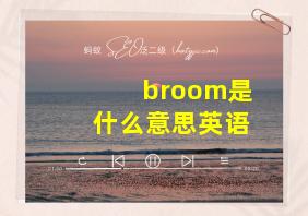 broom是什么意思英语