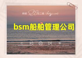 bsm船舶管理公司