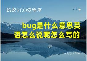 bug是什么意思英语怎么说呢怎么写的