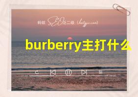 burberry主打什么