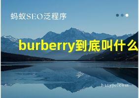 burberry到底叫什么