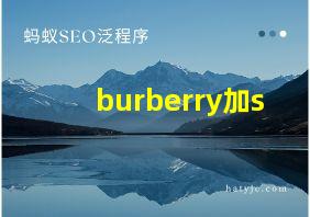 burberry加s