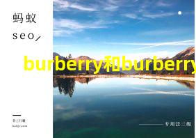 burberry和burberry brit