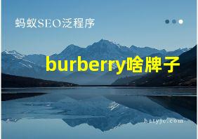 burberry啥牌子