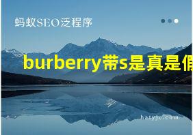 burberry带s是真是假