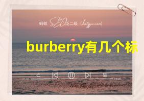 burberry有几个标