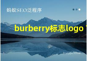 burberry标志logo TB