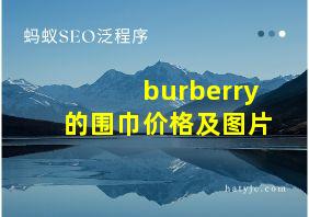 burberry的围巾价格及图片