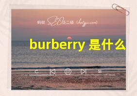 burberry 是什么