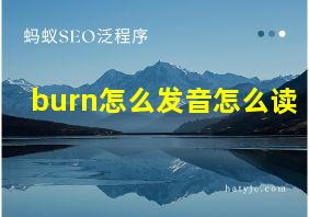 burn怎么发音怎么读