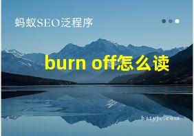 burn off怎么读