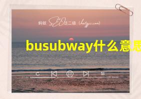 busubway什么意思