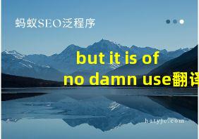 but it is of no damn use翻译