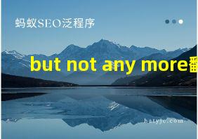 but not any more翻译