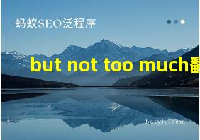 but not too much翻译