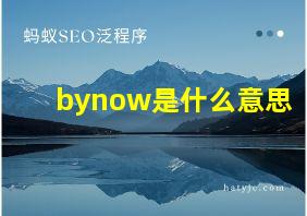 bynow是什么意思