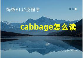 cabbage怎么读