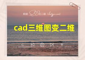 cad三维图变二维