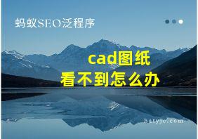 cad图纸看不到怎么办